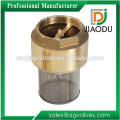 1 1/4 or 2 inch forged brass spring check valve with stainless steel filter